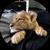 ayash.com2