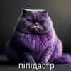 userzi9ru7q7ik
