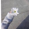 mariam___khaled809