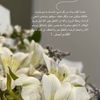 bador_80