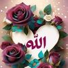 userj9lvq4rls4