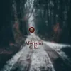 aforismi.g.e