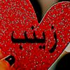 user8760082217658