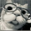_jazzchuu_0