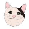felis_esclarecido13
