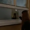 _domi.strakovaa
