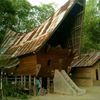 usufjulu2