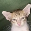 user9qq9wwq5w2