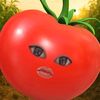 nihannn_1u3