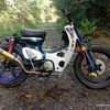 dvadley89