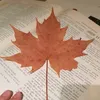 mama_2r_