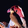 abomhmd812