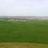 userscoxrqzent