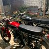 iyo_alam1