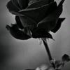 sofiane6422