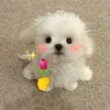 hothithuy_98