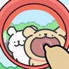 pitaktaiisoi