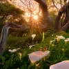 growing_plants03