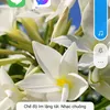 user7614407806680