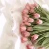 anastasia_8233