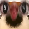 lechongkxte_