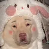 iu.l88