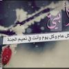 haifamahamdal