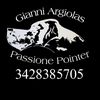 gianniargiolas4