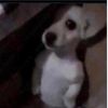 lexa_offi