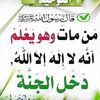 mahdimokhnache606