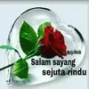 awanbiru533