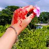 lima.hossain15