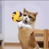frnotwen