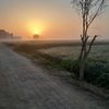 manjit3942