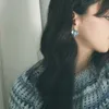 aveenfl