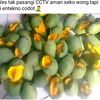 kumbokranguh
