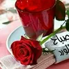 user7784833141437