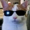 moonixx00