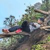 doniesan_