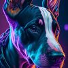 _youngray2
