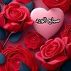 nouralhouda876