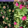 userdql5cb3jb9
