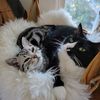 cuddles2980