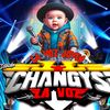changys1