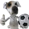 cachorrao.edits