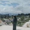 aniaz020321