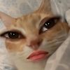 mbuttttgapakej
