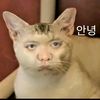 0102jinnie