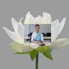 yingbua2567