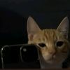 aditya_ar7